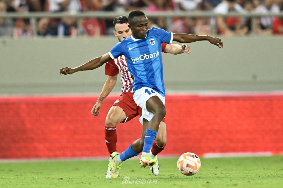 球爱好者的 球爱好者的